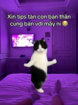 Mấy ní ơi xin tips #viral #trending #kallefeum #darkbeauty #suatam 