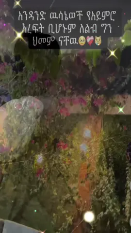 #❤️‍🔥🥺❤️‍🔥🦋 #🥀🖤 