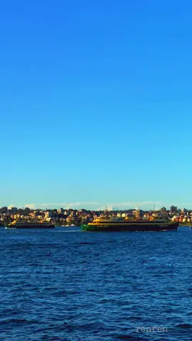 #Sydney Ferries cruising along the Sydney Harbour during sunset. #LClove112 #foryoupage #fyp #foryou 