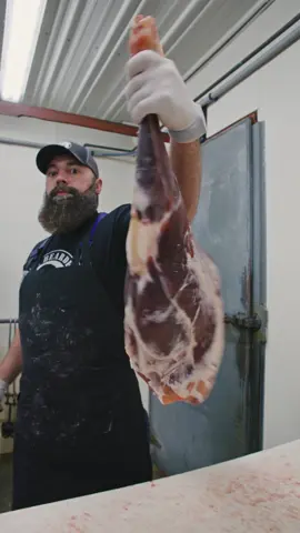 Learn how to debone a deer round. 🔪🥩 #butcher #butchering #deer #venison #meat #thebeardedbutchers