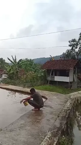 #bobodoran #fyp #reels