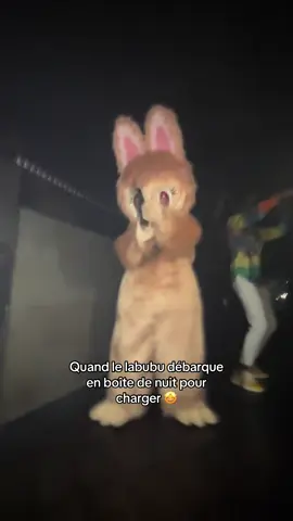 Quand le labubu débarque en boîte de nuit pour charger 🤩 #mascotte #labubu #danse #charger #humour 