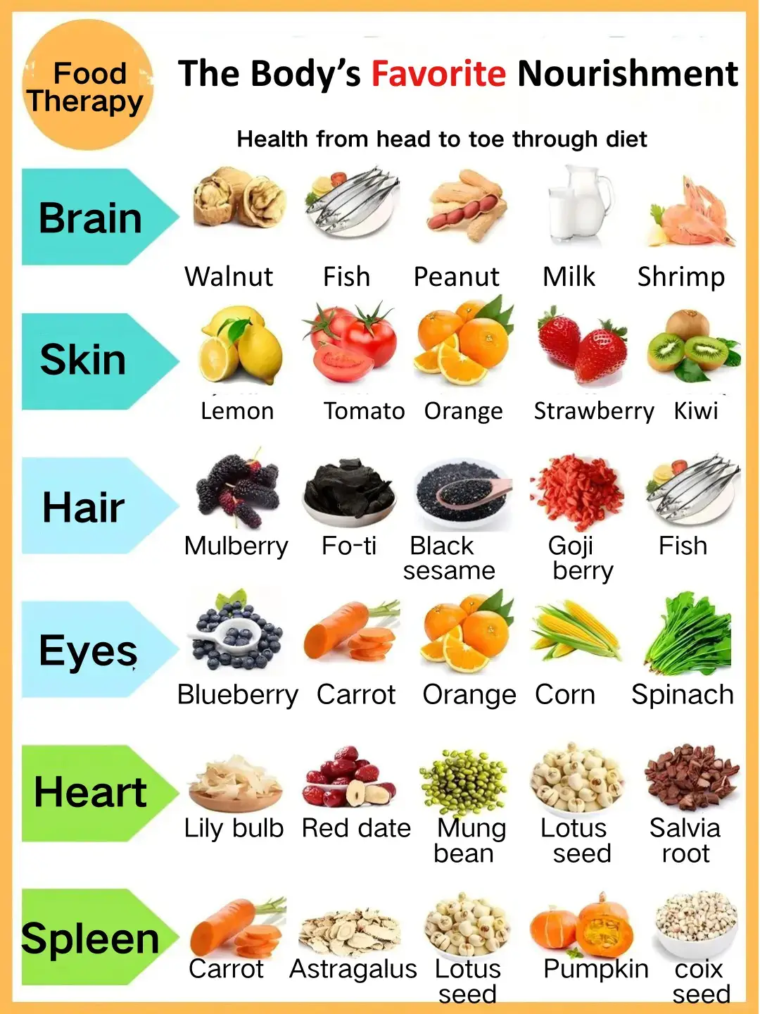 Food Therapy from Head to Toe ✨ Discover the body’s favorite nourishing foods — from brain to skin, lungs to kidneys. Eat smart, stay healthy, glow naturally! 🌱💪🍇 #FoodTherapy #HealthyEating #HolisticHealth #NourishYourBody #NaturalHealing 