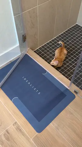 Bath mat is perfect! Nice and thin but looks great #bathroom #Home #homedecor #rug #shower 