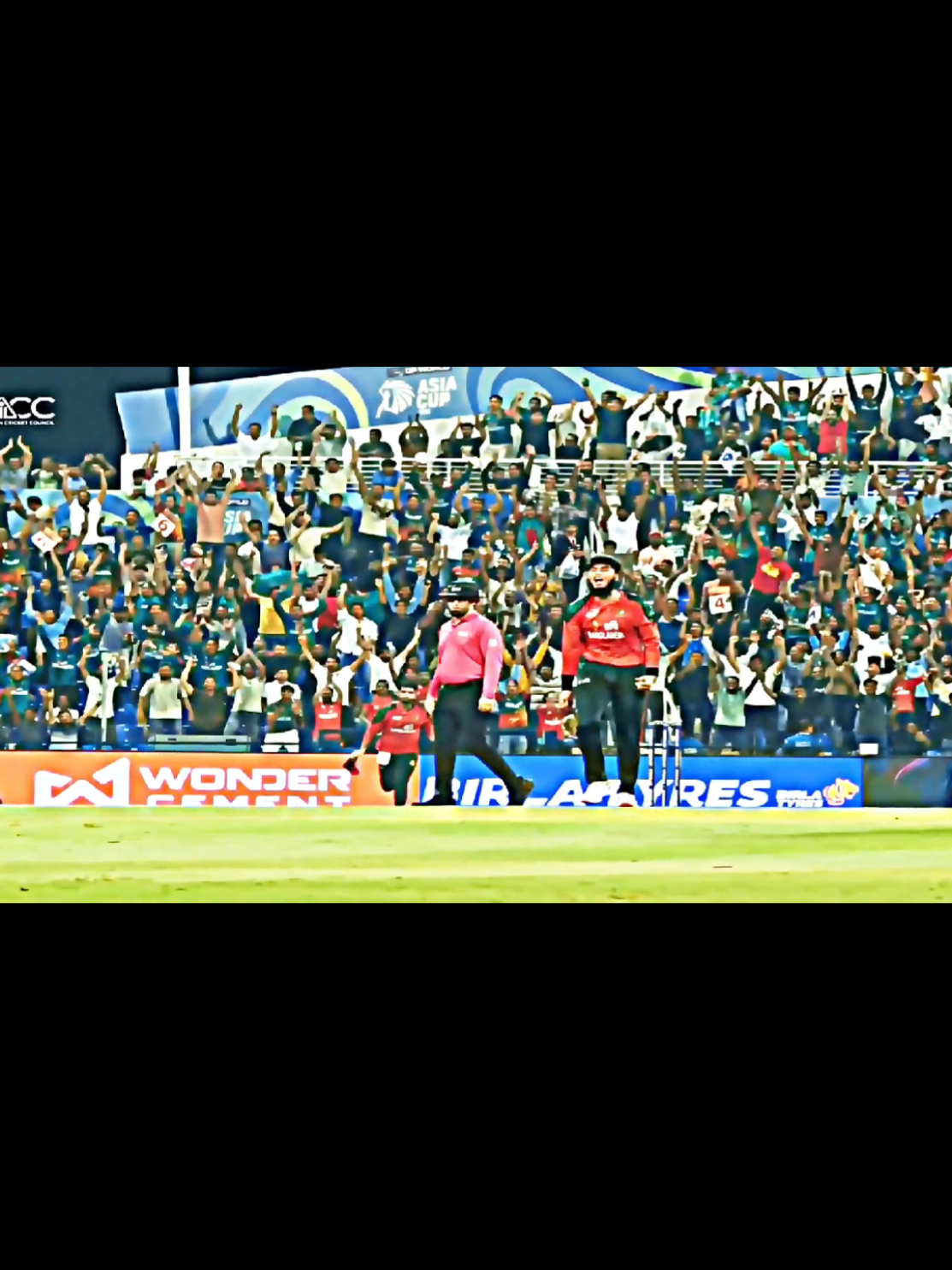 #CapCut part/2 Rishad er 2 wicket 🔥🥵#cricket #T20 #asiacup #bangladesh🇧🇩 