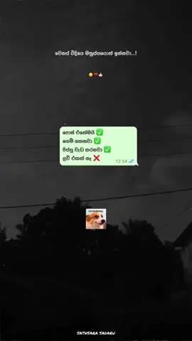 ලව් එකක් නෑ 😭🙂💔#sathsara #foryou #qoutes #fvp #foryoupage @𝓓𝓼_𝓥𝓲𝓭𝓸𝔃 🀄 @𝓣𝓱𝓮_𝓢𝓪𝓿𝓲𝓲🐼💜 @mr.riko @