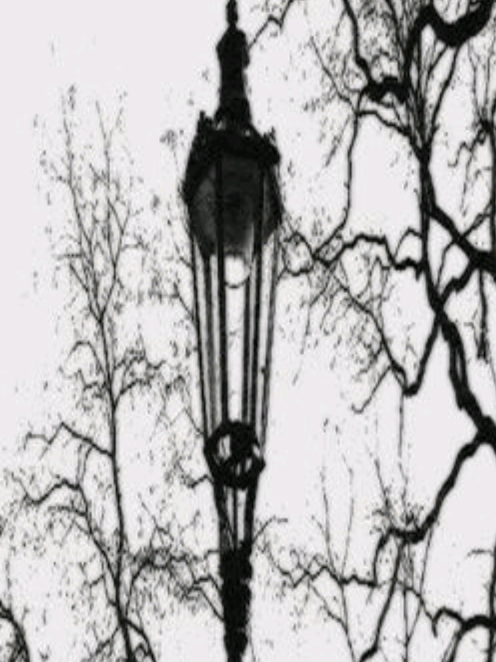 #sewh new update ate fr and I really love this new emote! Anyway, with my lovely wife, @nao (she/they) <33 #roblox #fyp #wlw 