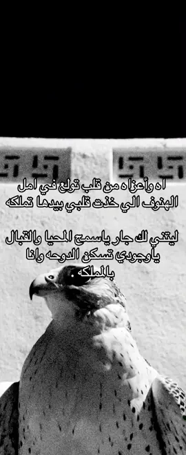 #اه_واعزه_من_قلبن_تولع_في_امل Kha-hdjn-hdgi-atolkl