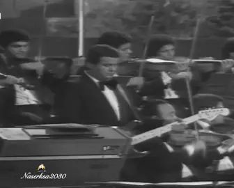 ابي منه الخبر | القاهرة 1978 #محمد_عبده #ترند #اكسبلور #fy #fypage 