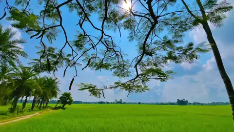 কিছু কষ্ট ব্যক্তিগত, যা কাউকে বলা যায় না, শুধু অনুভব করা যায়।