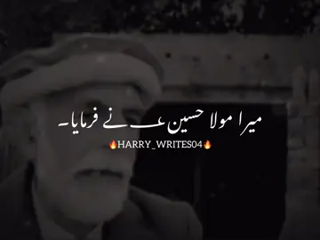 مولا حسین؀🙌💯#trending #fypシ゚ #virelvideo #punjabipoetry #harry_writes04 