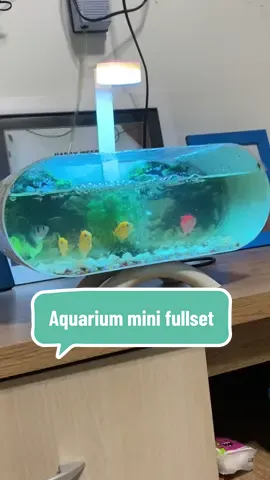 Aquarium mini fullset #fyp #aquariumminifullset #akuariumminifullset #aquariumhobby #modalkontendoang 