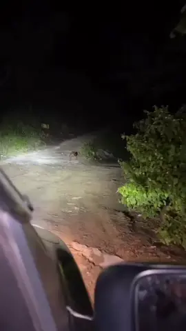 Sebuah rekaman video yang diduga memperlihatkan penampakan mahluk halus kembali menghebohkan jagat maya.  Video tersebut diambil oleh seorang pengemudi mobil saat melintas di jalan persimpangan sekitar kawasan hutan lebat di daerah Pensiangan, Sabah, Malaysia. Dalam rekaman yang viral itu, tampak sosok kecil menyerupai manusia tengah berjalan merangkak di tanah.  Bentuk tubuhnya kerdil dengan gerakan yang dianggap tidak biasa, sehingga menimbulkan berbagai spekulasi di kalangan warganet. Beragam komentar bermunculan menanggapi fenomena tersebut.  Ada yang menyebut sosok itu mirip 