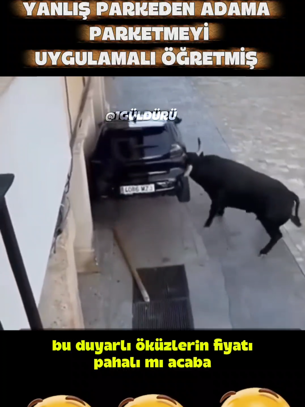 SAHİBİ PARKEDEMEYİNCE ÖKÜZ PARK ETTİ #keşfetteyizzz #keşfet #komik #komedi #öneçıkar 