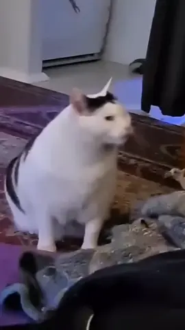 video clips for editor ###crd ###fyp ######❤️❤️❤️❤️❤️❤️❤️❤️❤️ ########