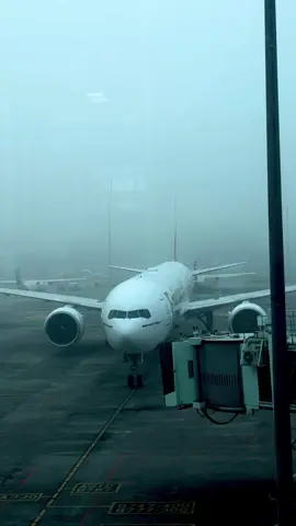 Dream Line…😇✌️ . . . #dubai_dxb_uae #emirates #dxb #dubailife #uae 