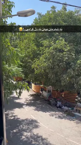 ئەی چـــیە😂🙂..؟#ئاوێسەر #تەوێڵە #هەورامان_خورمال_تەوێڵە #ئەکتیڤبن🥀🖤ـہہـ٨ــہ #foryoupage❤️❤️ @TikTok 