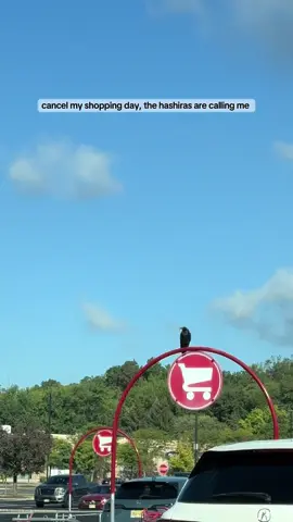 #demonslayer #hashira 