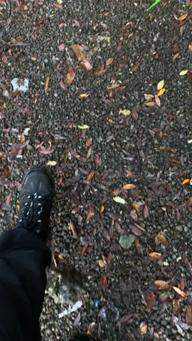 di balik hutan terlarang nya alun-alun surya kencana✨