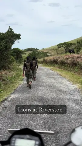 #Riveston 🌿 #Lion 🇱🇰 #SF #sri lanka special force🇱🇰 #Riveston 