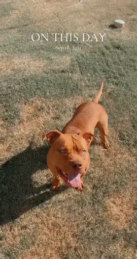 #onthisday 