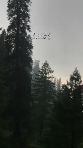 : ہنسنے والے کل خود رونے پر مجبور ہوں گے‼