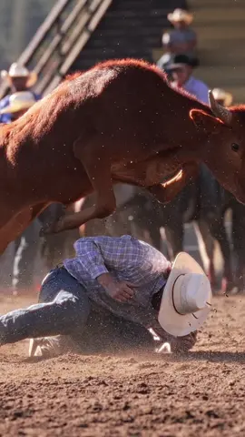 I’m so sorry Walker lol #bulldoggin 