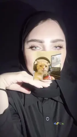 #لايك__explore___ 