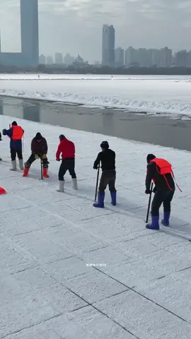 They Harvest All This Ice… For WHAT? #factsdaily #mindblowing #unbelievable #factsyoudidntknow #satisfying 