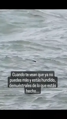 #vivedetusinversiones 