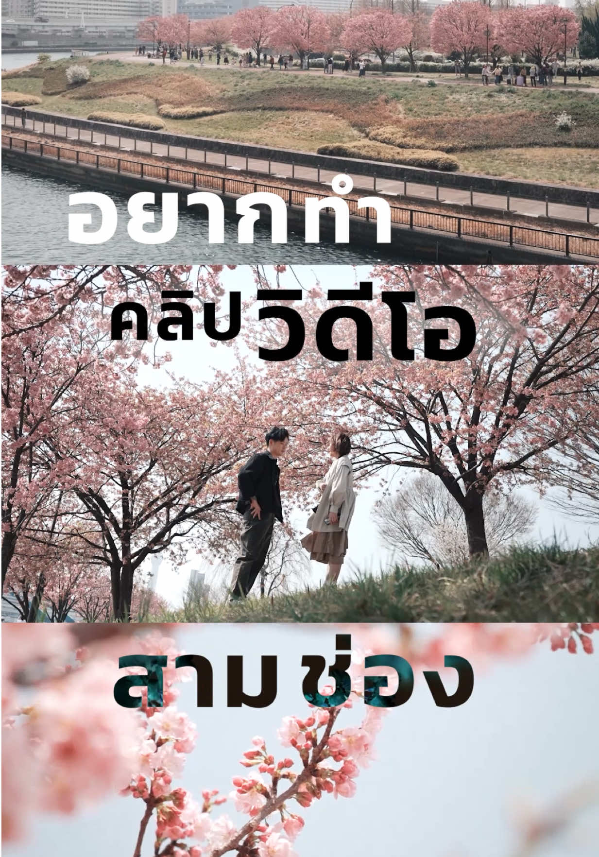 📌How to ลงคลิป 3 ช่อง ให้สวย มีสตอรี่  เซฟเก็บไว้ก่อน ได้ใช้แน่นอน อยากให้วิดีโอ 3 ช่องของเรา ดูสวยและเป็นภาพเดียวกัน ✨ เทคนิคคือ “การจัดระยะภาพ” (ไกล – กลาง – ใกล้) 🎬 3 ระยะภาพที่ควรมี 1. ไกล = Wide Shot / Long Shot / Extreme Long Shot – มุมกว้าง เห็นบรรยากาศโดยรอบทั้งหมด – ใช้เปิดเรื่อง ให้คนดูรู้ว่า เราถ่ายที่ไหน 2. กลาง = Full Shot / Medium Full Shot / Medium Shot – ระยะกลาง ๆ จะเห็นเต็มตัว หรือครึ่งตัวก็ได้ – เน้นให้เห็น ตัวแบบชัดขึ้น แต่ยังไม่ทิ้งแบ็กกราวด์ 3. ใกล้ = Medium Close-up / Close-up / Extreme Close-up – มุมใกล้ ดึงสายตาคนดูเข้ามา – เห็นรายละเอียด เช่น ครึ่งตัว ช่วงอก ดวงตา รอยยิ้ม – ถ้าไม่ได้ถ่ายคน ก็เจาะดีเทลใกล้ ๆ ได้ เช่น ดอกไม้ ใบไม้ หรือวัตถุเล็ก ๆ พอรวมทั้ง 3 ระยะ Wide → Medium → Close ภาพจะไม่แบนเกินไป เล่าเรื่องครบทั้ง ฉาก – ตัวแบบ – อารมณ์ ในคลิปเดียว #เทคนิคถ่ายวิดีโอ #ตัดต่อวิดีโอ #ถ่ายรูปด้วยมือถือ  #ถ่ายรูป #ถ่ายไงได้งี้   