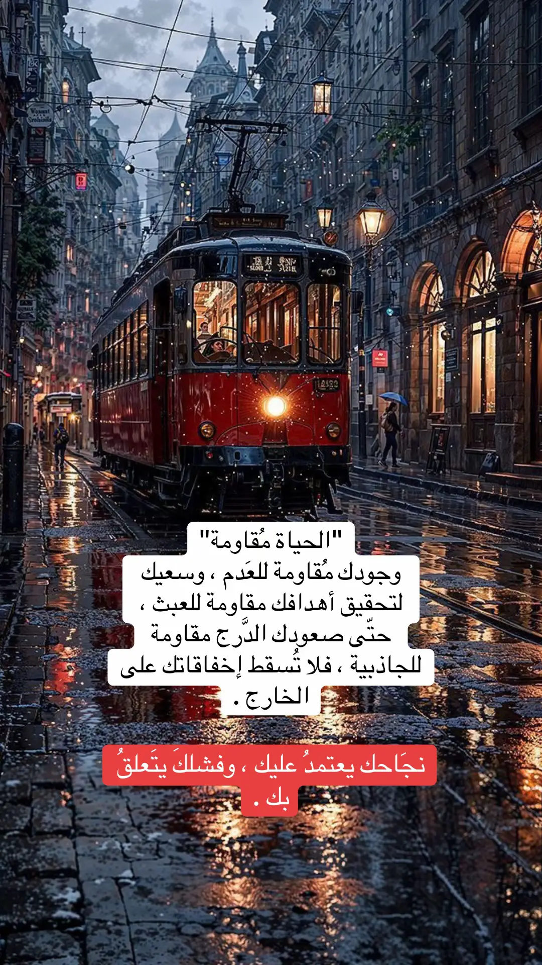 #سيسرا #سكاكا #عرعر #القاهرة #اكسبلورexplore 