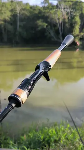 joran bc swan kuro carbon solid 7-14 lb dan 6-12 lb 180 cm ganteng di pasangkan dengan reel bc mu #joranbc #jorancasting #joranpancing #swan #jorancarbonsolid 