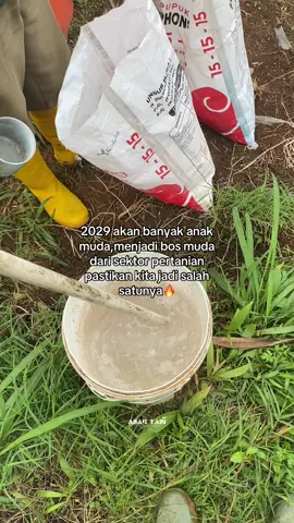 Hallo petani muda👋 #anaktani🌱 #petaniindonesia🇮🇩🇮🇩🇮🇩🌿🌿 #petanimilenial #petanimuda #petanisukses 