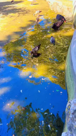 #صلوا_على_رسول_الله🤲🕋 #