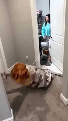 Scary family 🤣🤣🤣#scareprank #family #jumpscare #fyp #funny 