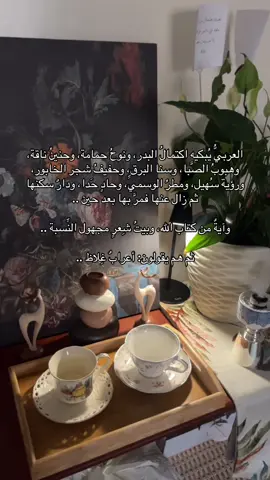 #عرب #your_coffee #مساء_الروقان #قصيده #نجم_سهيل 