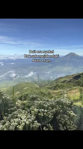 #mountain #pendakigunung #quotes #4u 