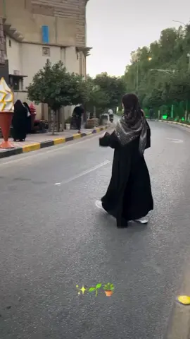 #كربلاء_مدينة_العشق_والعاشقين #🎀🧸 #fypシ 