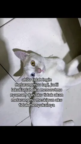 #fy #fypage #4upage #fyppppp 