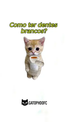 Como ter dentes? #beleza #fyp #curiosidades #gatos #skincare 