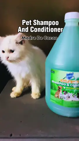 Madre de Cacao Shampoo & Conditioner with Guava Extract - Baby Powder Scent 1 Gallon Green FREE SOAP Pet Shampoo ##dogshampoo#catshampoo##petahampoo