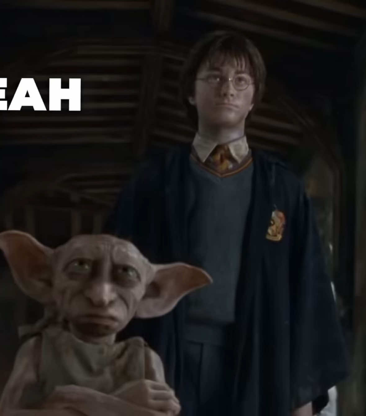 Dobby #harrypotter #edit #foryou #wherehaveyoubeen #dobby 