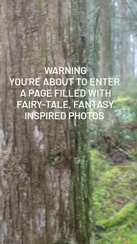 ⚠️ Warning: You’ve just stepped into a corner of Instagram where the ordinary world gets left behind. This page is brimming with forest whispers, woodland wonder, and a touch of moody fantasy magic. 🌲✨ If you’re not ready to wander through enchanted trails or get lost in fairytale daydreams, turn back now… but if nature calls to your wild heart, welcome to the adventure. 🌿🧚‍♂️✨ #nature #forest #fairytale #photography #fyp 