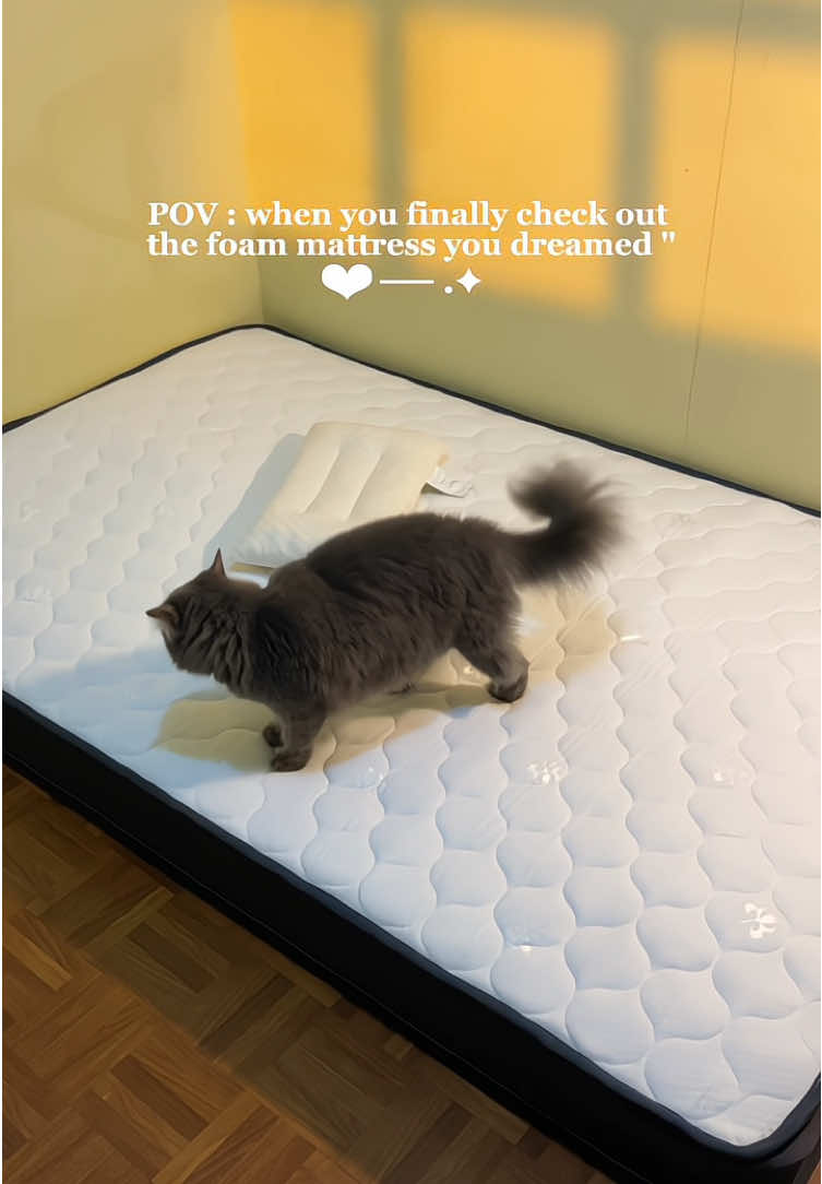 dina navidiohan ang pag open kasi ,sobra kami ma exited 😍piro nakaka injoy ang pag open 😍🫶🏻#dreamefoammattress #dreame #foammattress #foammattress #dreamefoammattress 