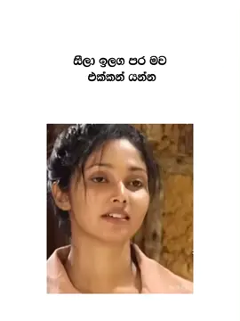 සීලෝ #foryoupage #fouryou #sri_lanka_tiktok🇱🇰 #capcut #creatorsearchinsights 