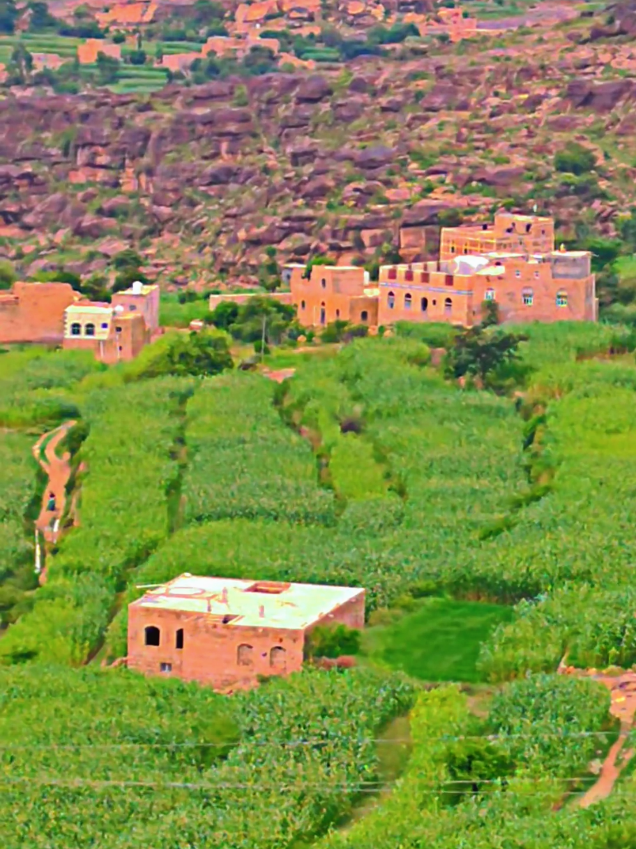 #اليمن #اكسبلورexplore #fyp #foryoupage #viral 