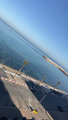 #الشعب_الصيني_ماله_حل😂😂 #algerie🇩🇿 #vuestiktok #mostaganem #salaman 
