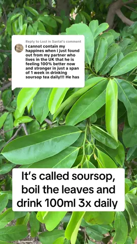 Replying to @Lost in Santal 