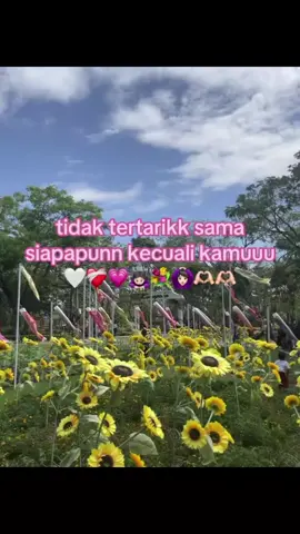 #fypage#fyp#fyptiktok#katakatacinta#fyppppppppppppppppppppppp 